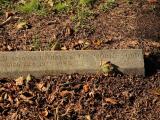 image of grave number 292208